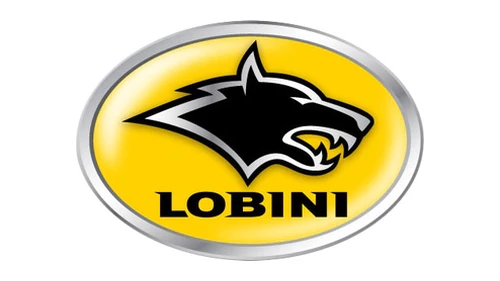 Логотип Lobini, примерно 1999–2014 годы: жёлтый овал с головой волка