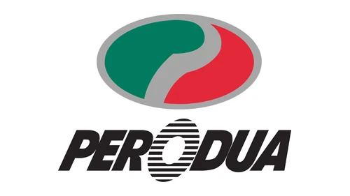 Логотип Perodua 1998–2008 годов: эмблема с P и 2 в форме эллипса