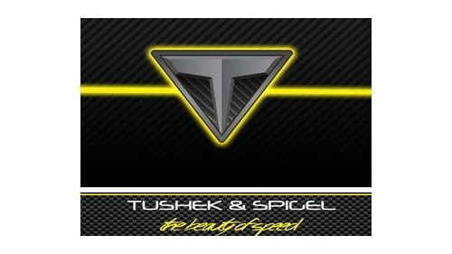 Логотип Tushek около 2012 года: серый треугольник с буквой T на карбоне