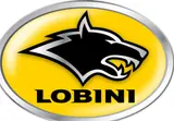 Логотип Lobini