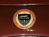 Логотип Panther