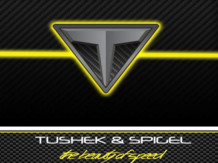 Логотип Tushek